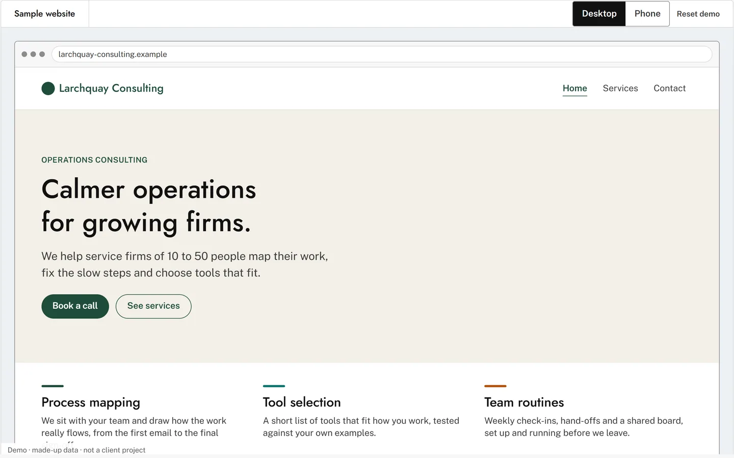 Demo website: a sample consultancy site in a browser frame, made-up firm.