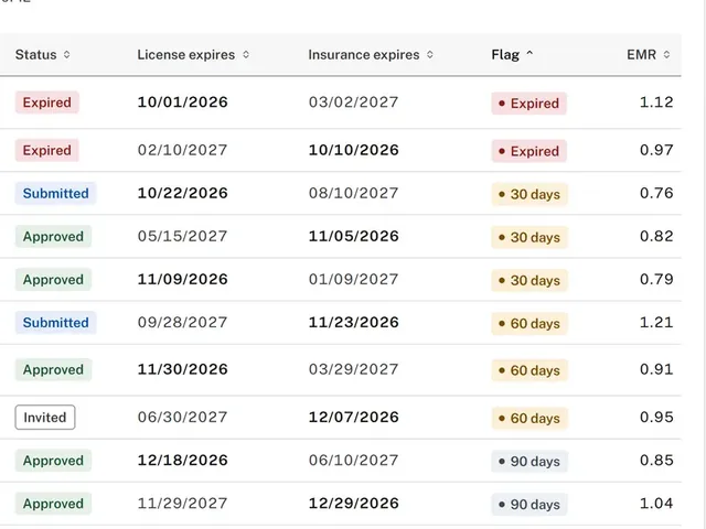 Demo tracker: license and insurance dates with 30, 60 and 90-day flags, made-up data.
